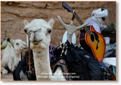 9 Days Algerian Sahara tour with Camel Trek