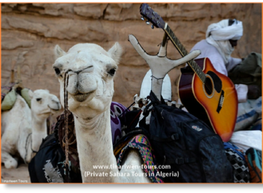 9 Days Algerian Sahara tour with Camel Trek